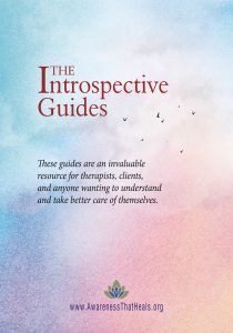 Introspective Guides Cover